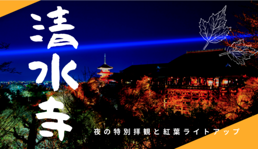 【11月後半開催】清水寺 夜の特別拝観｜幻想的な青い光と紅葉ライトアップのコントラストが素敵！