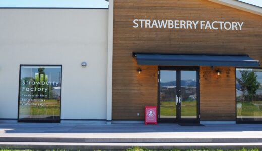 【草津】Strawberry Factory｜限定かき氷が絶品！ドッグランや公園が併設する解放感満点の癒しカフェ