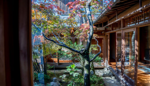 【滋賀大津】庭造りの匠『近江綴園』の新社屋・ショールームに遊びに行ってきました｜株式会社近江庭園