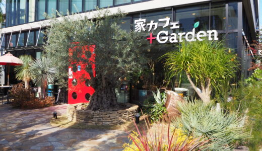 【大津石山】家カフェ＋Garden｜緑に囲まれた癒しスポットで楽しむ数量限定のランチプレートが美味！