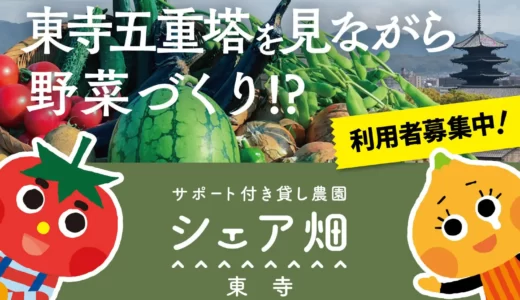 手ぶらで野菜作りが楽しめる！シェア畑 東寺が7月1日オープン！