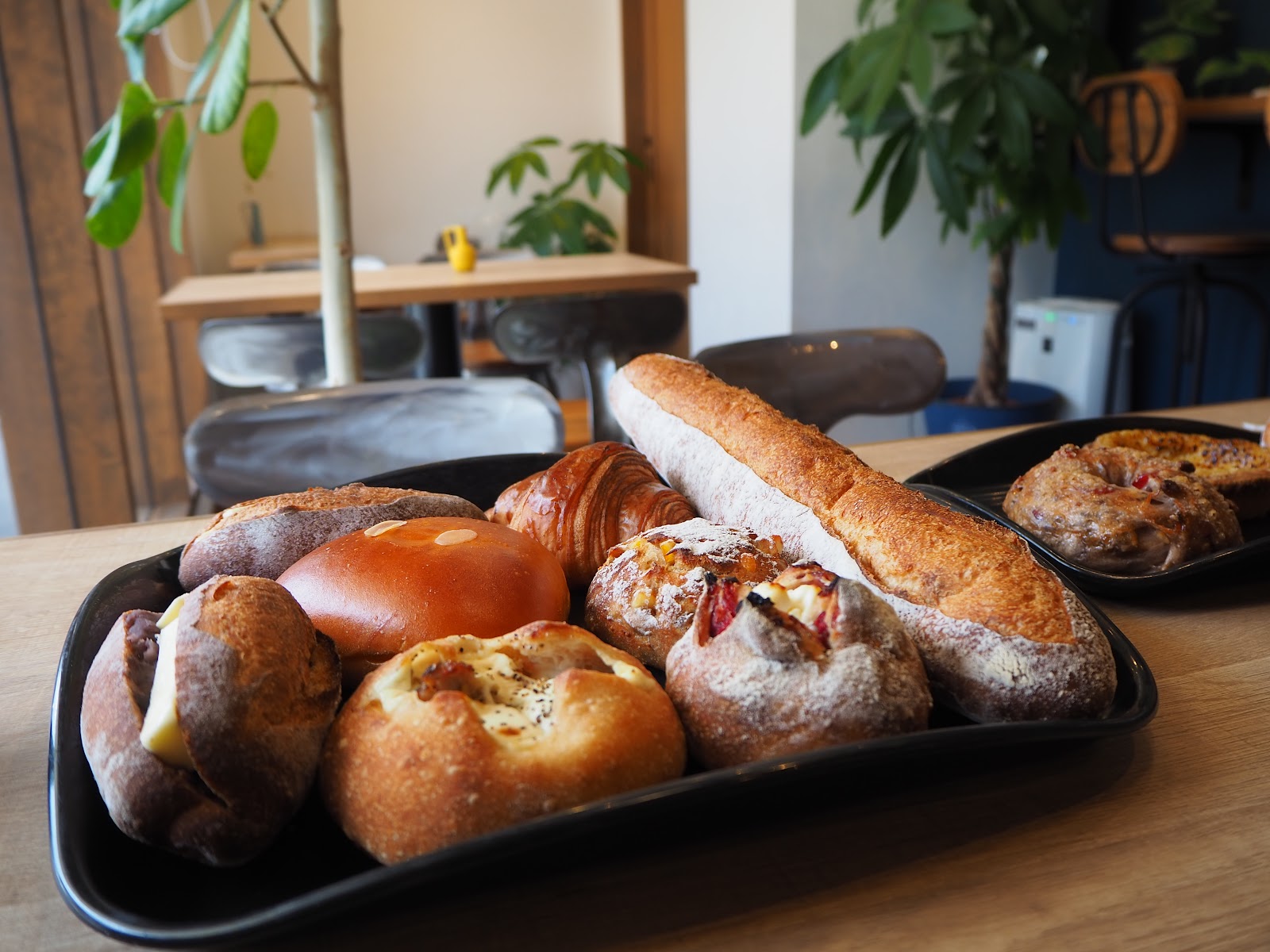 バクバクファクトリーページ Tangie バクバクファクトリーページ